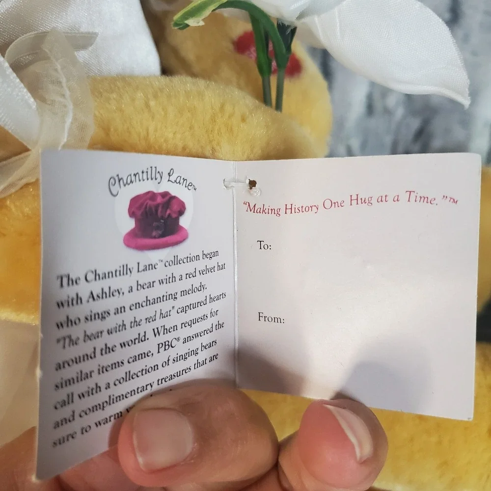 PBC International‎ Bride Bear Singing Plush Doll Sings Going To The Chapel VIDEO